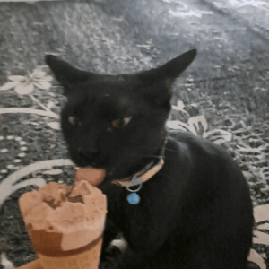 at_177851974215951.gif