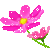 at_177873972030679.gif