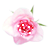 at_177874047954112.gif