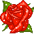 at_177874048065764.gif