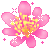 at_177874048082685.gif