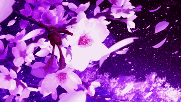 at_17792327120351.gif