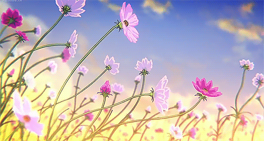 at_177933310677365.gif