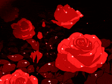 at_178045473743162.gif