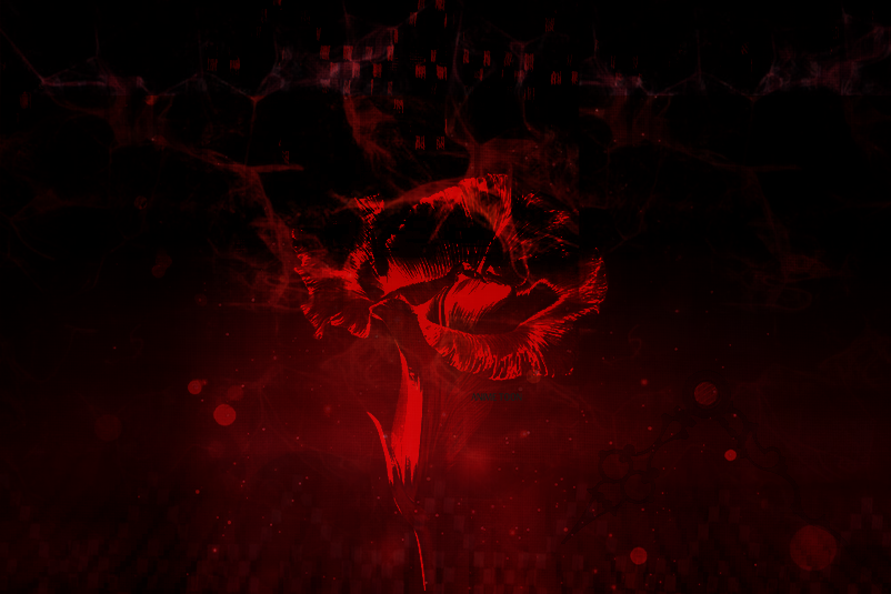 at_178087318931961.png