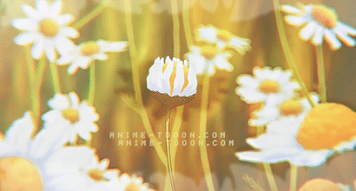 at_178389828363712.gif
