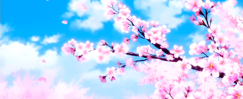 at_178395941767781.gif