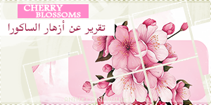 at_178634254522772.png