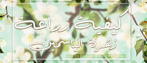 at_178908554023865.png
