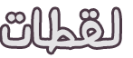 at_178943582989511.png
