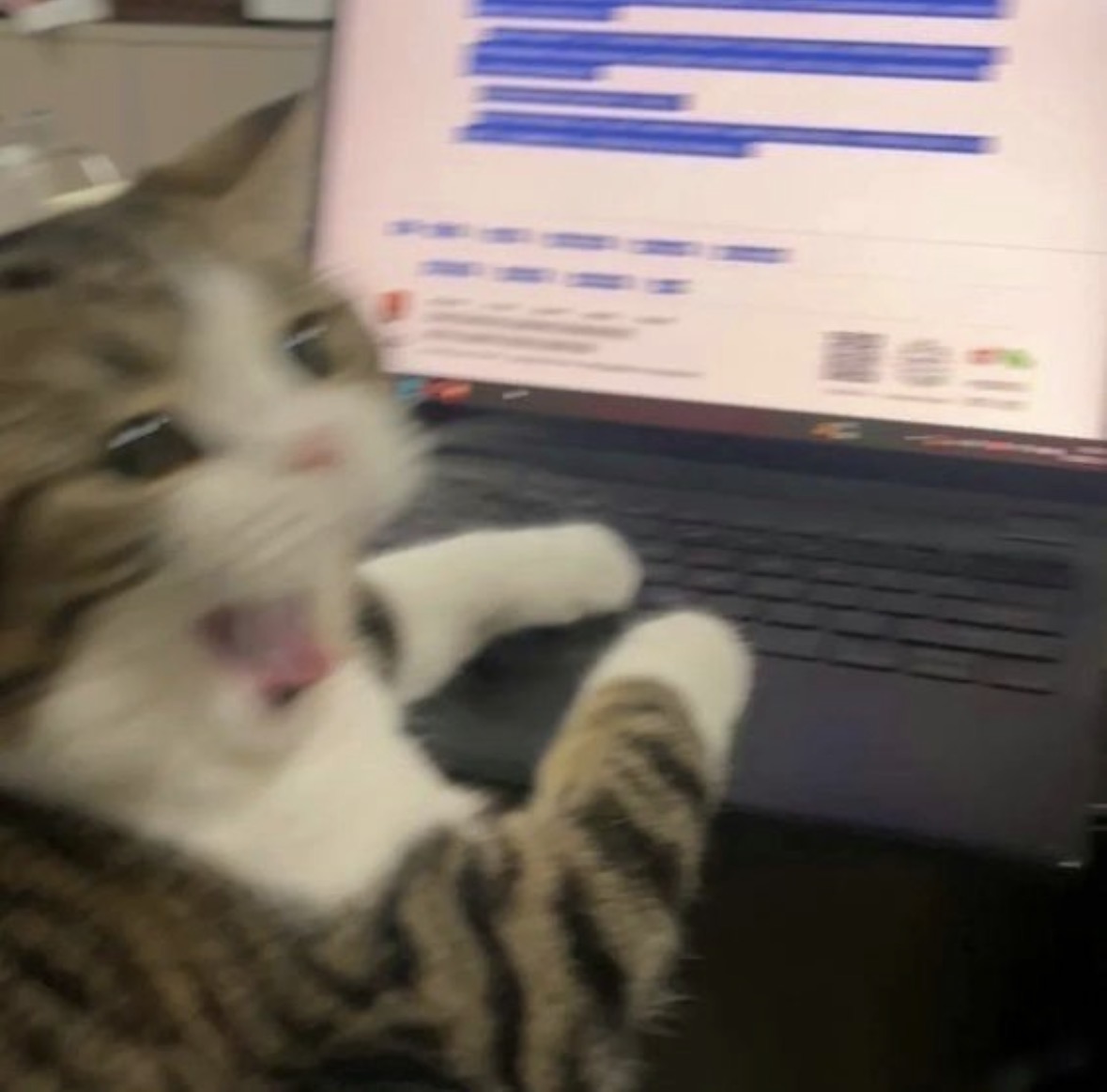 at_179065725035411.jpeg