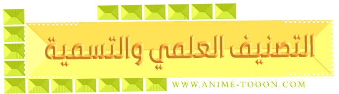 at_179072291996272.png
