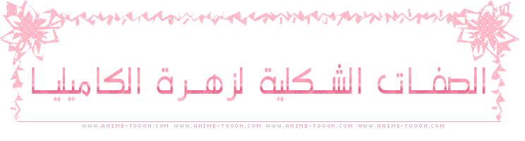 at_179115014168263.png