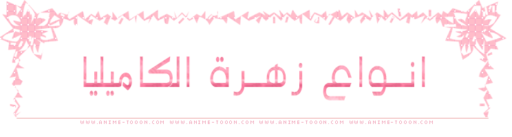 at_179115014170224.png