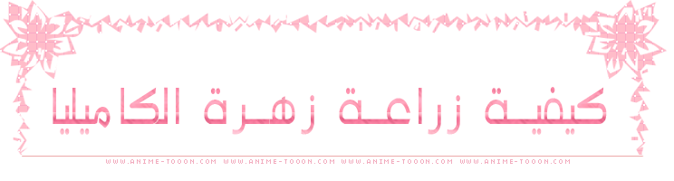 at_179115014175937.png