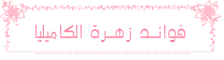 at_179115014179088.png