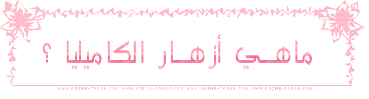 at_1791150141832510.png