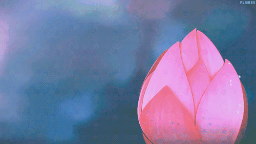at_179130760956314.gif