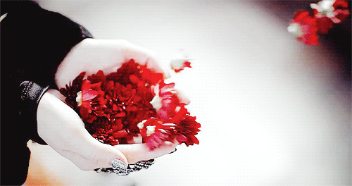 at_179231306901334.gif