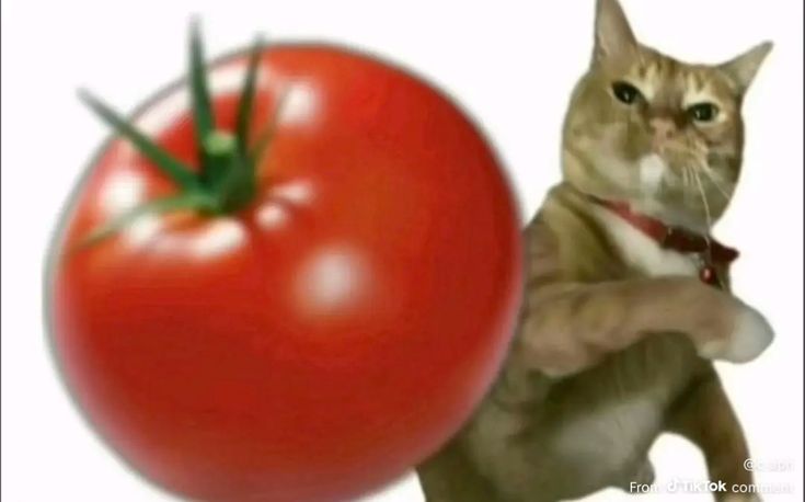 at_179275727783561.jpg