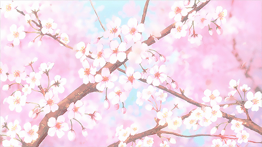 at_179279075828015.gif