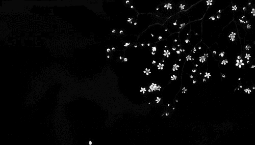 at_179288404156941.gif