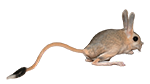 at_179297736808631.png