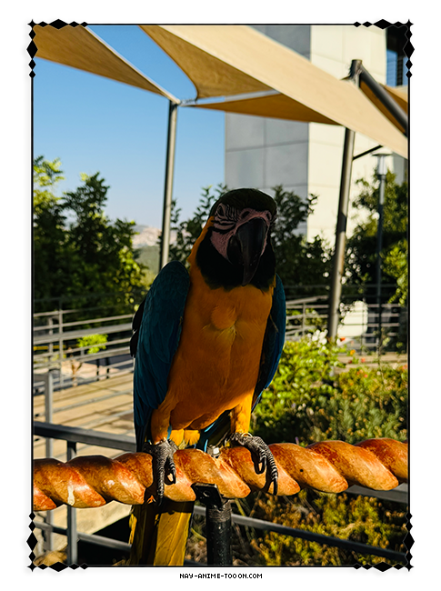 at_179320608924719.png